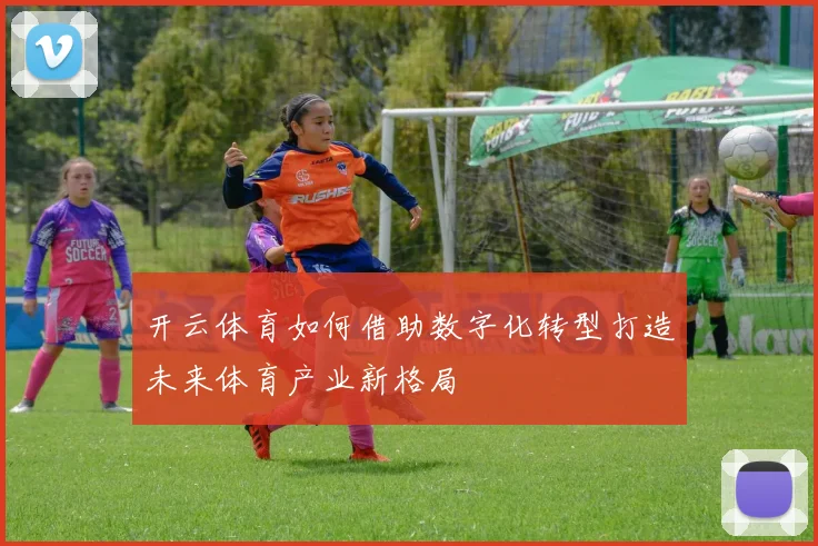 开云体育如何借助数字化转型打造未来体育产业新格局