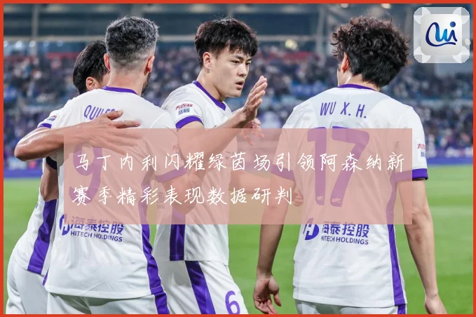 马丁内利闪耀绿茵场引领阿森纳新赛季精彩表现数据研判
