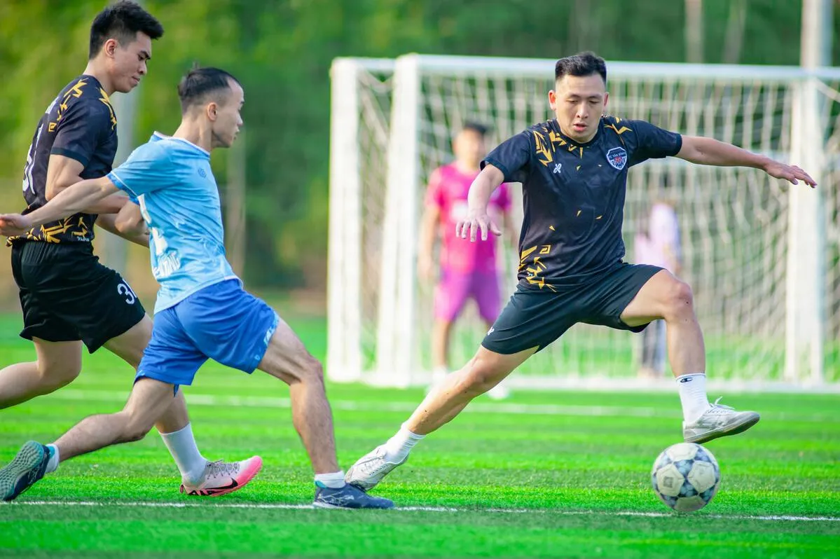 美加墨联合举办世界杯2026赛事全景解析与观赛指南