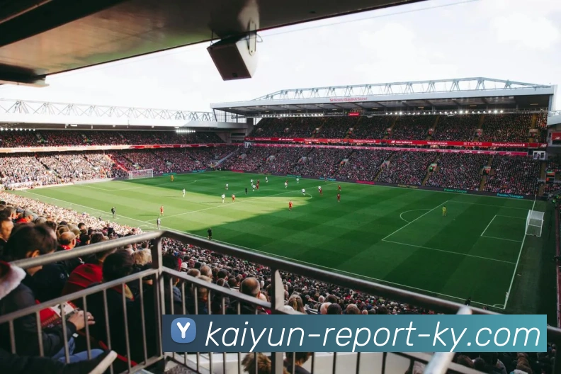 开云平台生态图